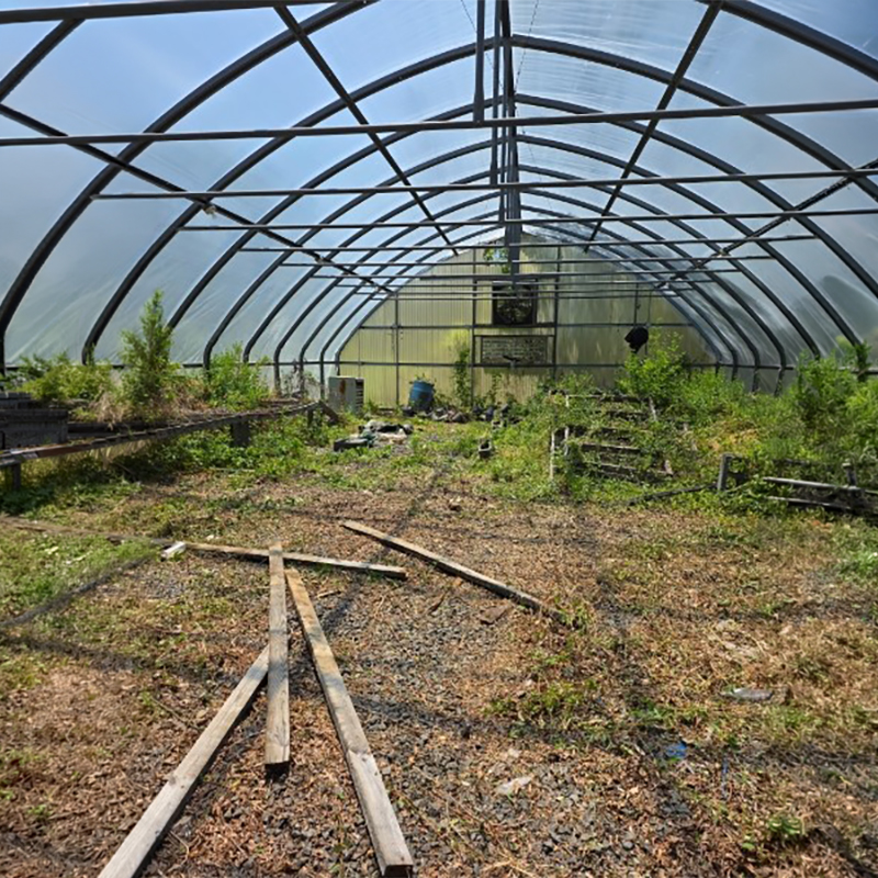 Before2026Jul8 greenhouse6749 wbcchurch